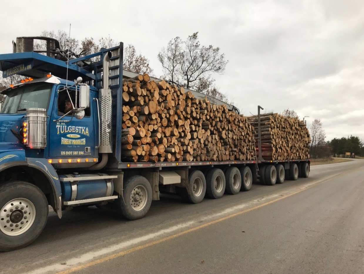 Truck hauling logs